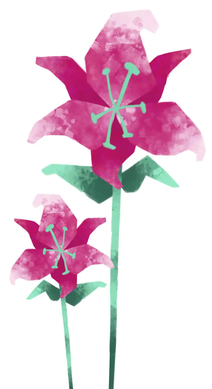 Two illustrated, textured, and pink- and green-colored Rubrum lilies next to each other. The left is shorter than the right.